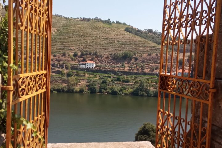 Douro: luxury walking tour with lunch at Quinta da Pacheca