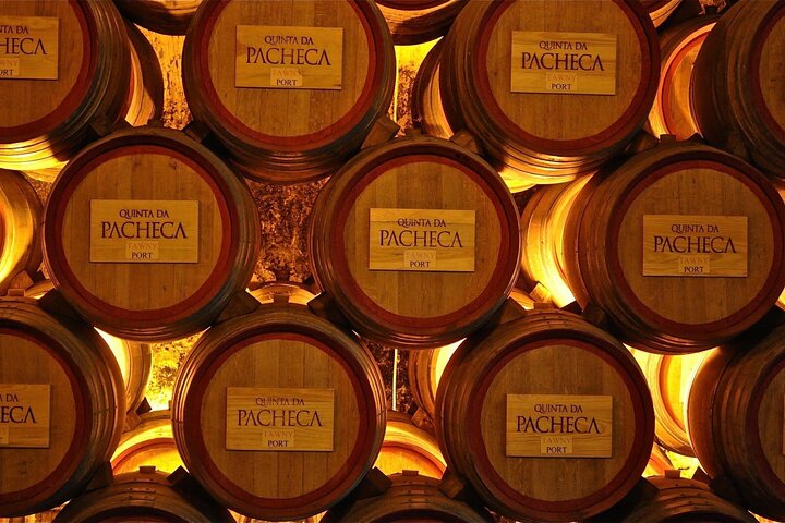 Douro: luxury walking tour with lunch at Quinta da Pacheca