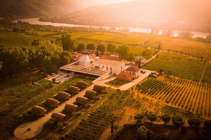 Douro: luxury walking tour with lunch at Quinta da Pacheca