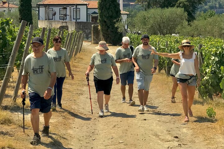 Douro: luxury walking tour with lunch at Quinta da Pacheca
