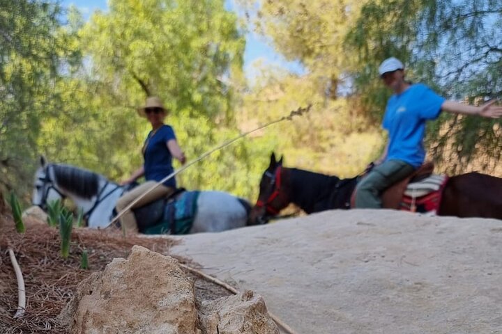 Private Indiana-Jones Archeological Trail Tour