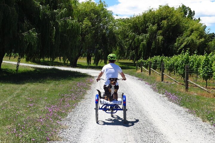 Self-Guided Wine Tours by Bike with Lorelle & Greg