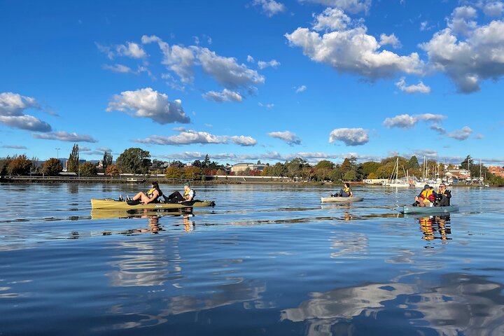 Guided Kayak Tour on Launceston's scenic waterfront on foot powered Hobie kayaks