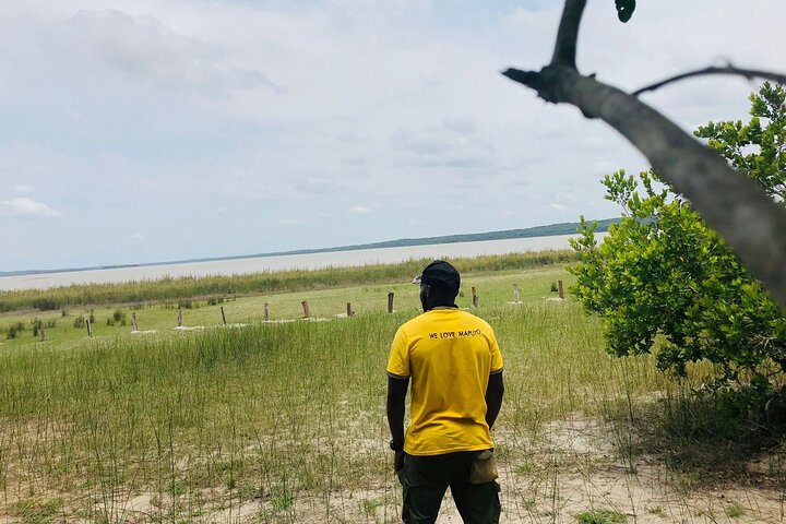 Maputo National Park (Maputo Special Reserve) Full-day Tour