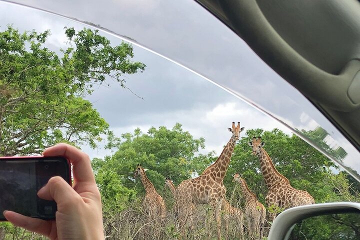 Maputo National Park (Maputo Special Reserve) Full-day Tour