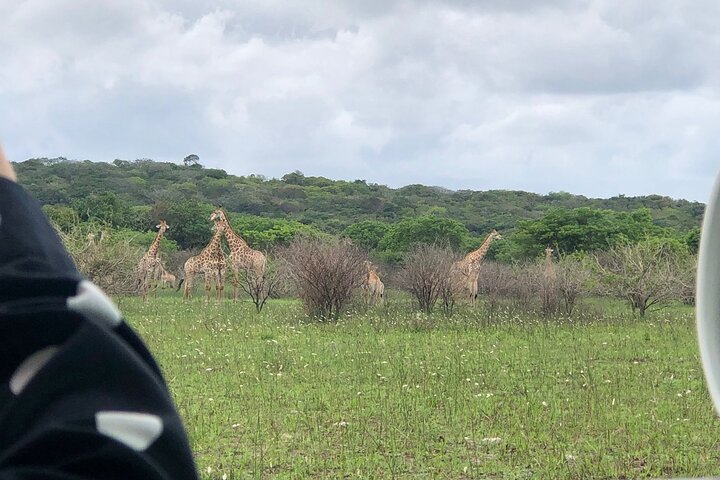 Maputo National Park (Maputo Special Reserve) Full-day Tour