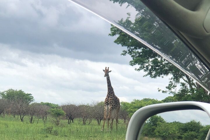 Maputo National Park (Maputo Special Reserve) Full-day Tour