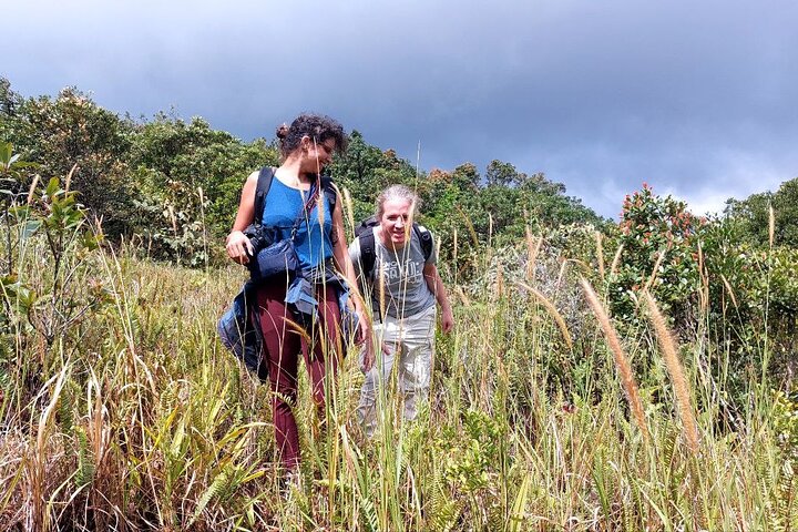 Exploring the Best of Kampot and Kep in a Full-Day Tour