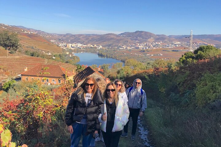 Douro: luxury walking tour with lunch at Quinta da Pacheca