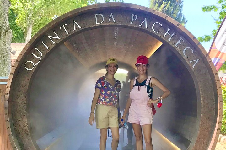 Douro: luxury walking tour with lunch at Quinta da Pacheca