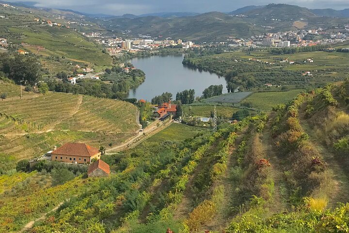 Douro: luxury walking tour with lunch at Quinta da Pacheca
