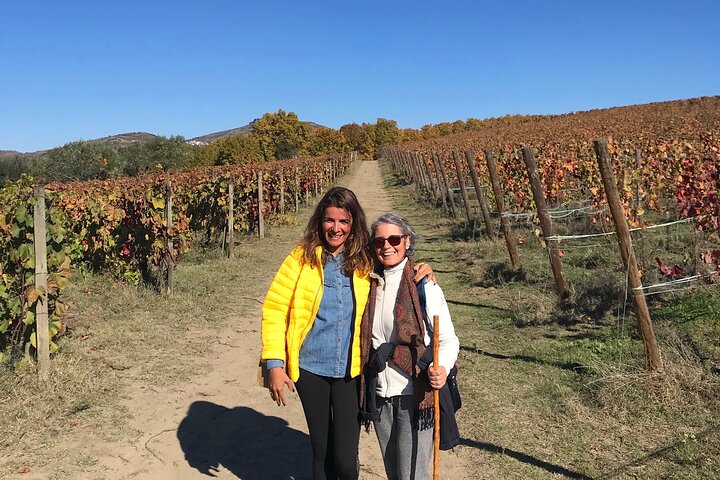 Douro: luxury walking tour with lunch at Quinta da Pacheca