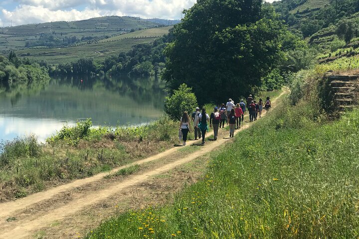 Douro: luxury walking tour with lunch at Quinta da Pacheca