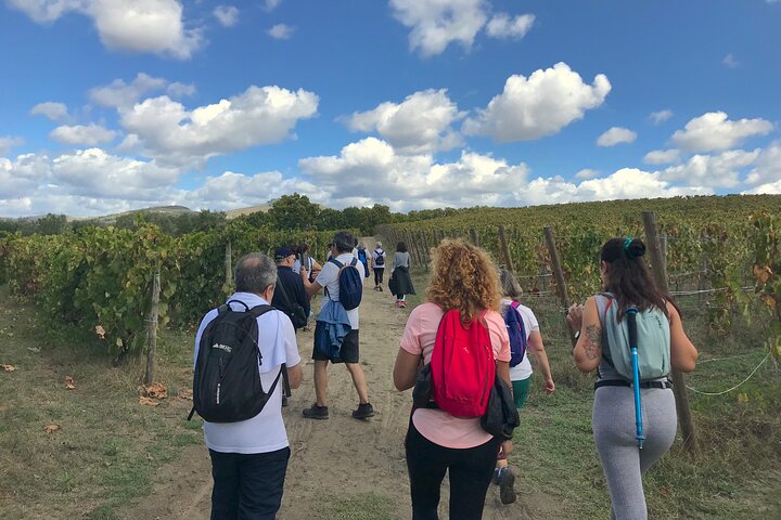 Douro: luxury walking tour with lunch at Quinta da Pacheca