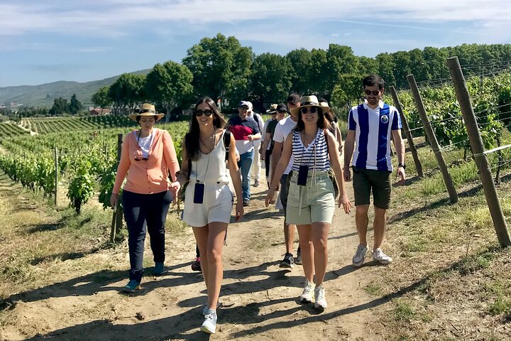 Douro: luxury walking tour with lunch at Quinta da Pacheca