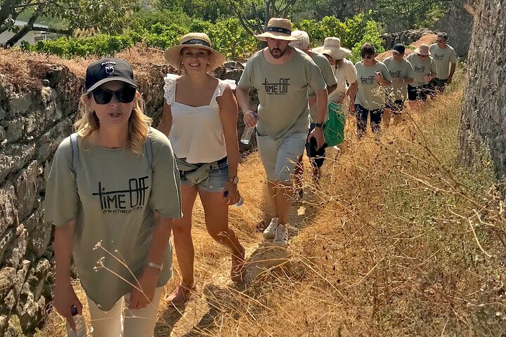 Douro: luxury walking tour with lunch at Quinta da Pacheca