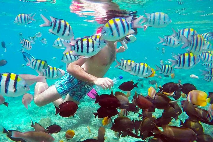 from Gili Trawangan: 3 gilis Snorkeling Trip with Gopro camera