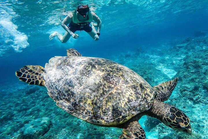 from Gili Trawangan: 3 gilis Snorkeling Trip with Gopro camera