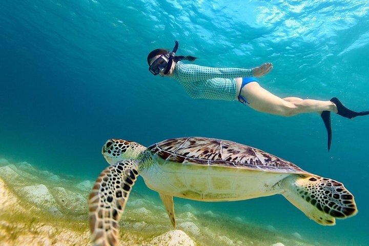 from Gili Trawangan: 3 gilis Snorkeling Trip with Gopro camera