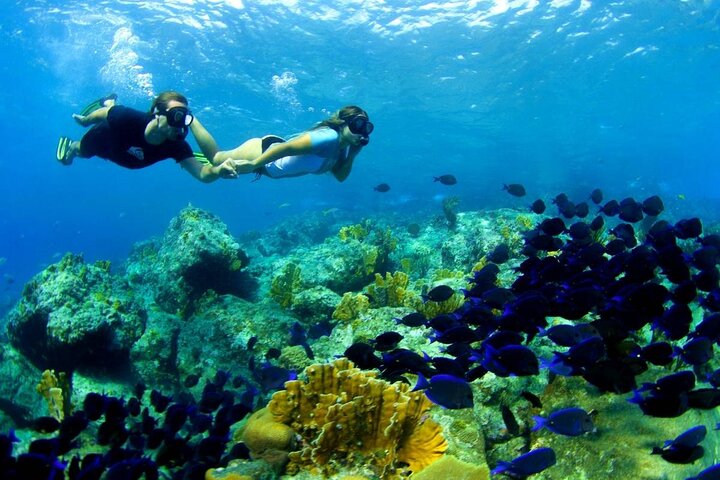 from Gili Trawangan: 3 gilis Snorkeling Trip with Gopro camera
