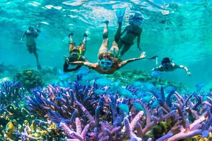 from Gili Trawangan: 3 gilis Snorkeling Trip with Gopro camera