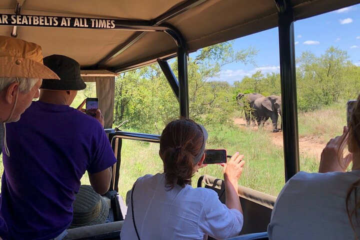 Kruger National Park Full-Day Tour