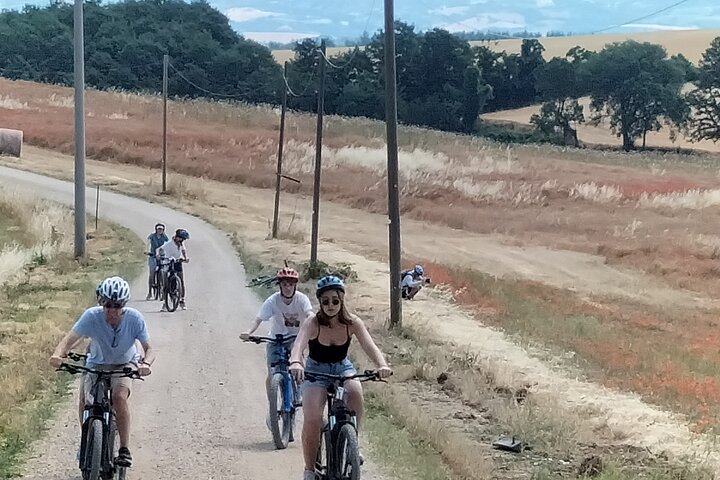 Small Group E-bike Experience from Orvieto to Civita with Lunch