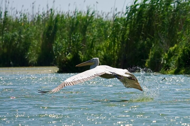 4 Days in the Heart of Danube Delta