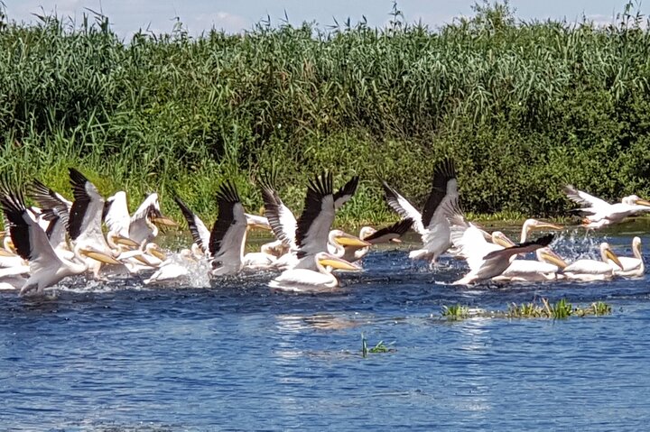 4 Days in the Heart of Danube Delta