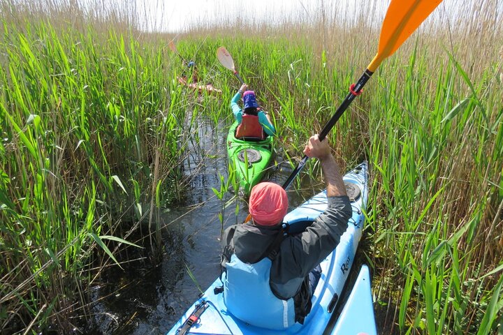 4 Days in the Heart of Danube Delta