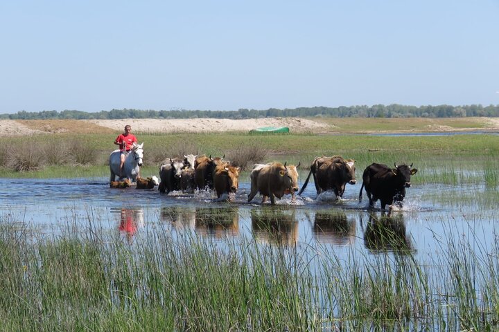 4 Days in the Heart of Danube Delta