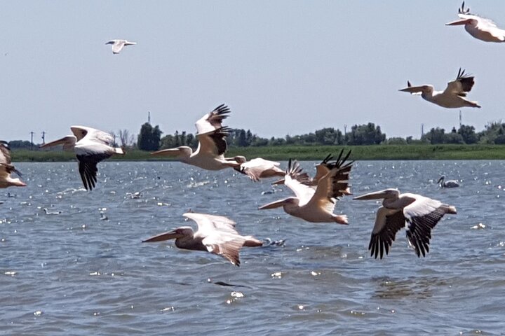 4 Days in the Heart of Danube Delta
