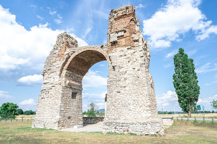 Admission Pass to The Roman Quarter and the Museum Carnuntinum