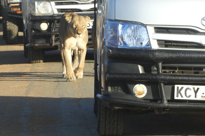 Private Adventure: Nairobi park, Elephants & Giraffe centre