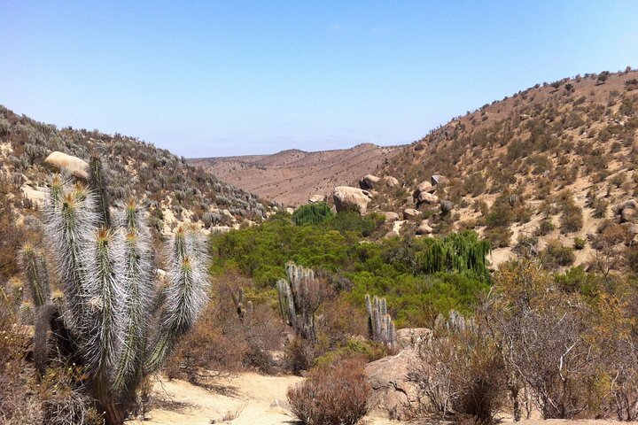 Valley of Charm: Slopes, Petroglyphs and Shamanic Rituals