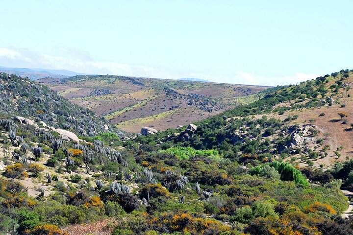 Valley of Charm: Slopes, Petroglyphs and Shamanic Rituals