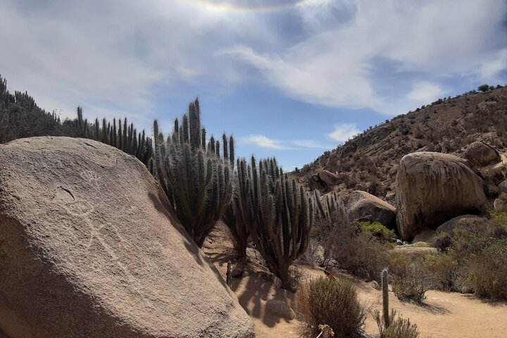 Valley of Charm: Slopes, Petroglyphs and Shamanic Rituals