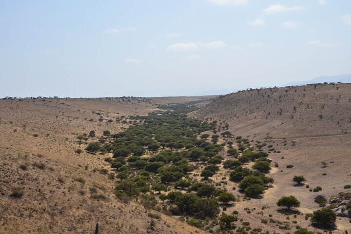 Valley of Charm: Slopes, Petroglyphs and Shamanic Rituals