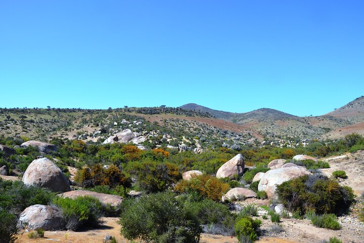 Valley of Charm: Slopes, Petroglyphs and Shamanic Rituals