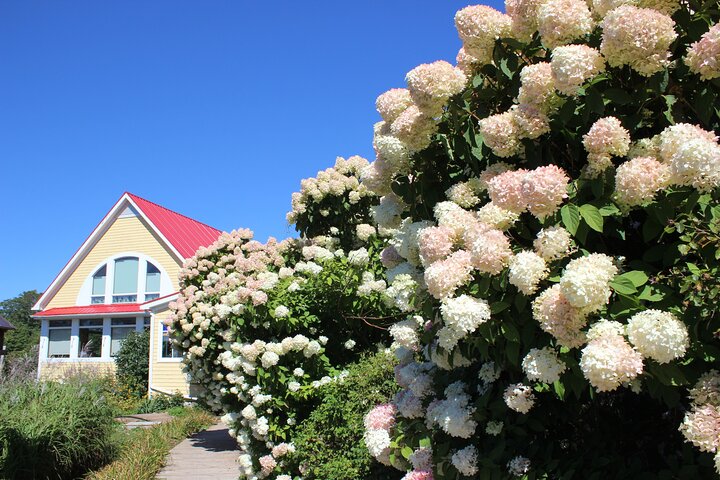 Green Gables House & Our Island Experience