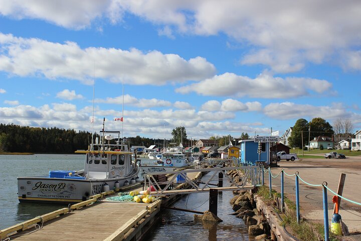 Green Gables House & Our Island Experience