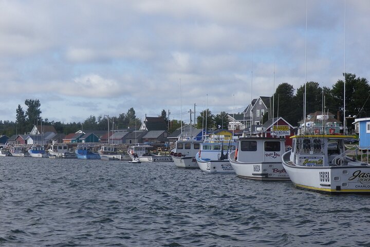 Green Gables House & Our Island Experience