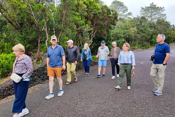 Faial Island: Full Day with Local Guide, Volcanoes and Landscapes