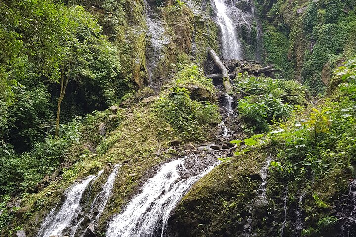 El Tigre Waterfalls Hiking Tour with Lunch and Nature Guide