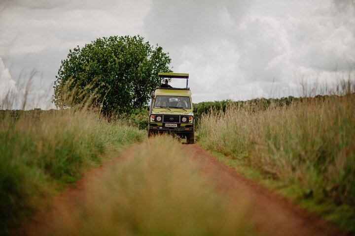 One Day Akagera National Park Big Five Safari