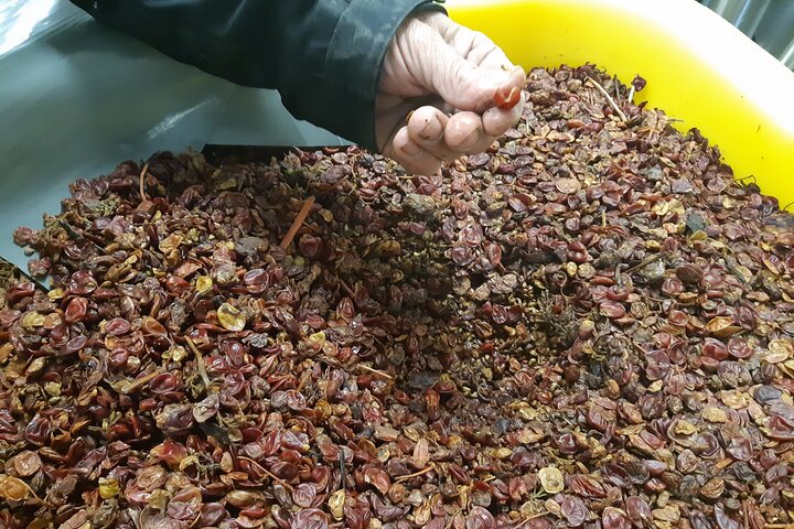 ICONICS Tour: 1/2 day on the Wine Route, visit of 2 Villages + Tasting.