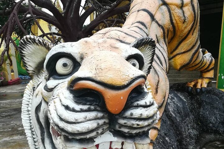 Discover Krabi - Emerald Pool, Hot Springs & Tiger Cave Temple