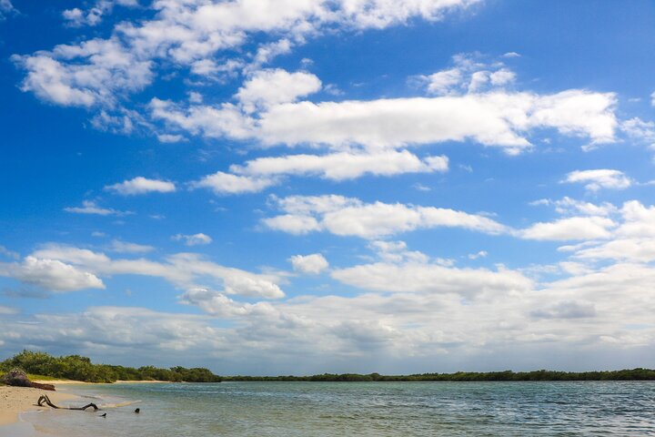 Nature tour by boat in the Natural Reserve in Río Lagartos
