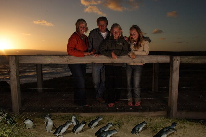 Full-Day Phillip Island Tour with Kangaroo, Koala and Penguin Parade