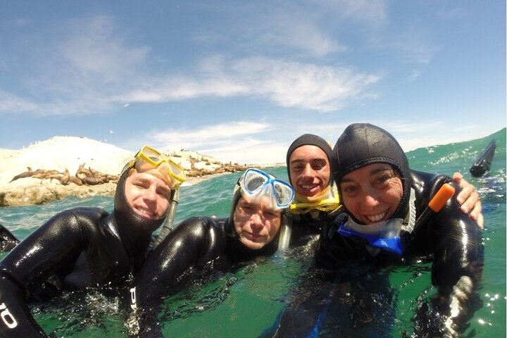 Snorkeling with Sea Lions and Wildlife Adventure